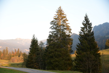 Sticker - Herbstwald bei Bizau