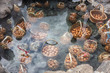 tourist boiling eggs in hot spring at Chae Son National Park Lampang, Thailand.