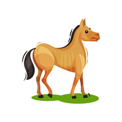 Poster - Flat vector design of brown horse standing on green grass, side view. Hoofed mammal animal. Wildlife theme