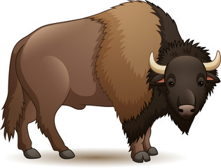 Sticker - Illustration of bison isolated on white background