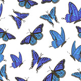 Fototapeta Motyle - Seamless pattern with butterflies