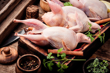 Sticker - Fresh raw meat quails