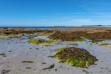 Wall Mural - French landscape - Bretagne. A beautiful beach with rocks at low tide.