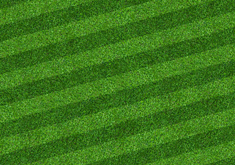 Green grass field background for soccer and football sports. Green lawn pattern and texture background. Close-up.