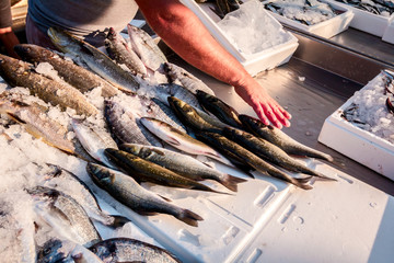 Wall Mural - Salesman is preparing fresh fish on ice for selling at outdoor fish flea market