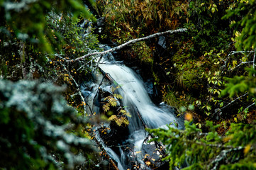 waterfall in the forest