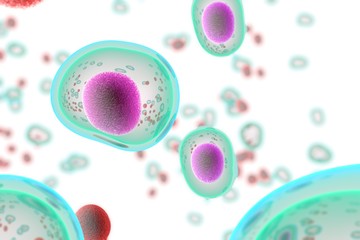Wall Mural - embryonic stem cells , cellular therapy , regeneration , disease treatment