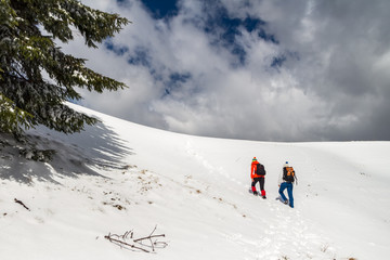 Two women hikers climbing towards the top of a snowy ridge in Bucegi mountains, Romania, passing by a green tree branch on their way up, during a Winter trekking adventure