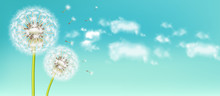 Spring Dandelion Flower Vector Realistic. Sky Background Soft Bokeh Illustrations