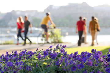 Blurred group of people walking in the park