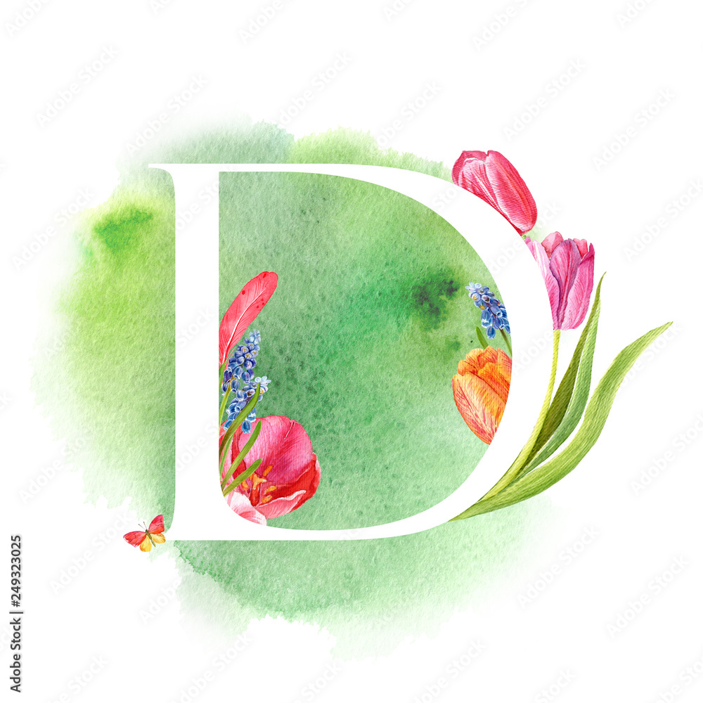Spring Letter D Letter D. A letter of the alphabet with spring flowers, muscari tulips ...