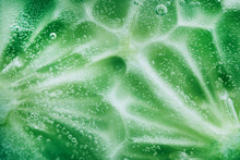 Cucumber Close-up Natural Background