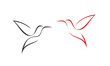 Hummingbird logo. Isolated hummingbird on white background. Outline