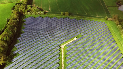 Wall Mural - Green Energy Solar Farm with many Photovoltaic Panels