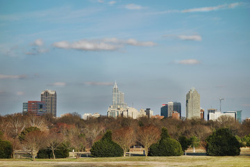 Wall Mural - Downtown Raleigh skyline from Dix park