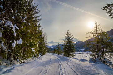 Wall Mural - Beautiful winter landscape with snow on the trees