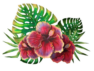 Watercolor summer tropical design for banner or flyer with exotic palm leaves, hibiscus flowers