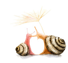 Watercolor Drawing Two Snails In Love, Hugs, Kiss