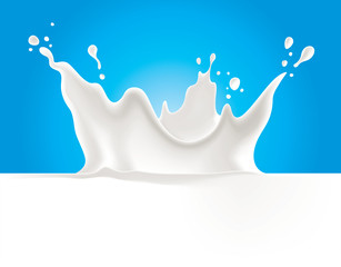 Cows, sheeps, goats, soya, rice, oat, hemp or coconut milk splash vector illustration on blue background