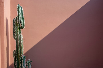 Pink wall