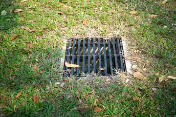 Drainage grate on a lawn