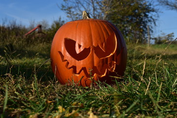 halloween pumpkin 