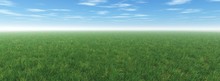 Green Meadow Under The Blue Sky, Grass And Sky, Nuci Over The Field, A Lot Of Green Grass Under The Sky With Clouds,