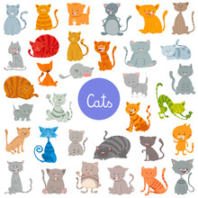 Funny Cat And Kitten Characters Large Set