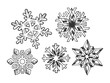 Snowflake set sketch sketch engraving vector illustration. Scratch board style imitation. Black and white hand drawn image.