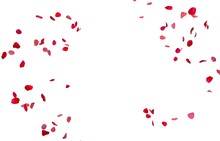 Red Rose Petals Fly In A Circle. The Center Free Space For Your Photos Or Text