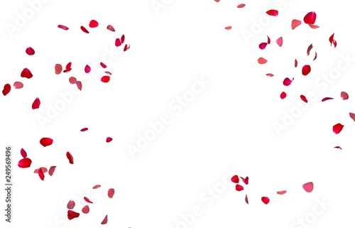 Red rose petals fly in a circle. The center free space for Your photos or text © injenerker
