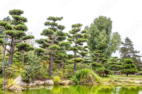 Japanischer Garten Am Rhein In Dusseldorf Kaufen Sie Dieses Foto