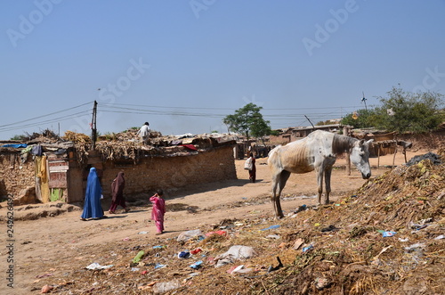 パキスタンのラワールピンディー 砂漠地帯に暮らす人々と住居 外を歩くブルカを着たパキスタン人女性 餌を食べる馬 Stock Photo Adobe Stock