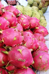 Canvas Print - Fresh dragon fruit organic in the market