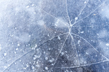 Thin Layer Of Ice On The Pond Surface With Cracks Texture Background