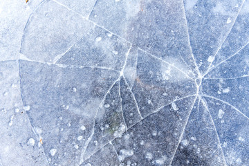 Wall Mural - thin layer of ice on the pond surface with cracks texture background