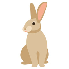 cartoon rabbit, vector illustration , front