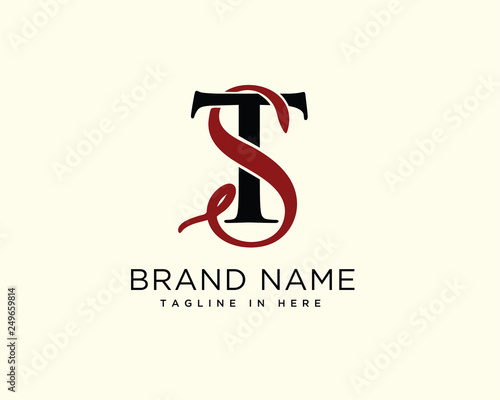 TS logo design inspiration - Buy this stock vector and explore similar