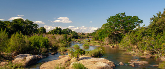 African landscape in the Kruger National Park, South Africa