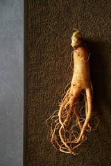 Wall Mural - Korean ginseng root 