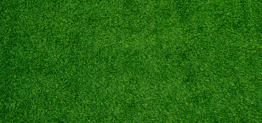 grass field background, green grass, green background