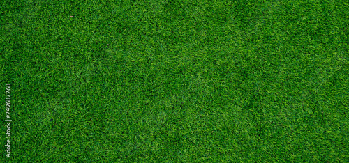 Cuadros en Lienzo grass field background, green grass, green background