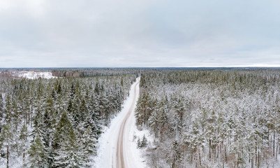  Winter season and a small road in the forest