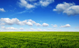Fototapeta Do pokoju - Green field and blue sky