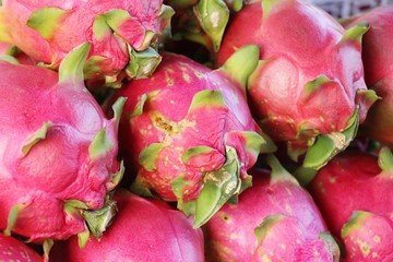 Canvas Print - Fresh dragon fruit organic in the market