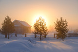 Fototapeta Na sufit - Cold morning in Siberia 