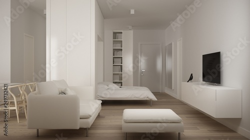 Verwonderend Small apartment with parquet floor, Murphy bed and white sofa in HL-26