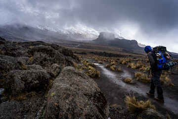 a walker on the way to the summit of kilimanjaro, the roof of africa
