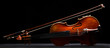 retro violin on a black background