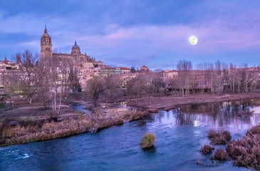 The joined cathedrals of Salamanca (Old and New Cathedral), Castile-Leon, Spain. The old cathedral (12-14 c. centuries -Romanesque and Gothic). New Cathedral (16-18 c. ^ate Gothic and Baroque)